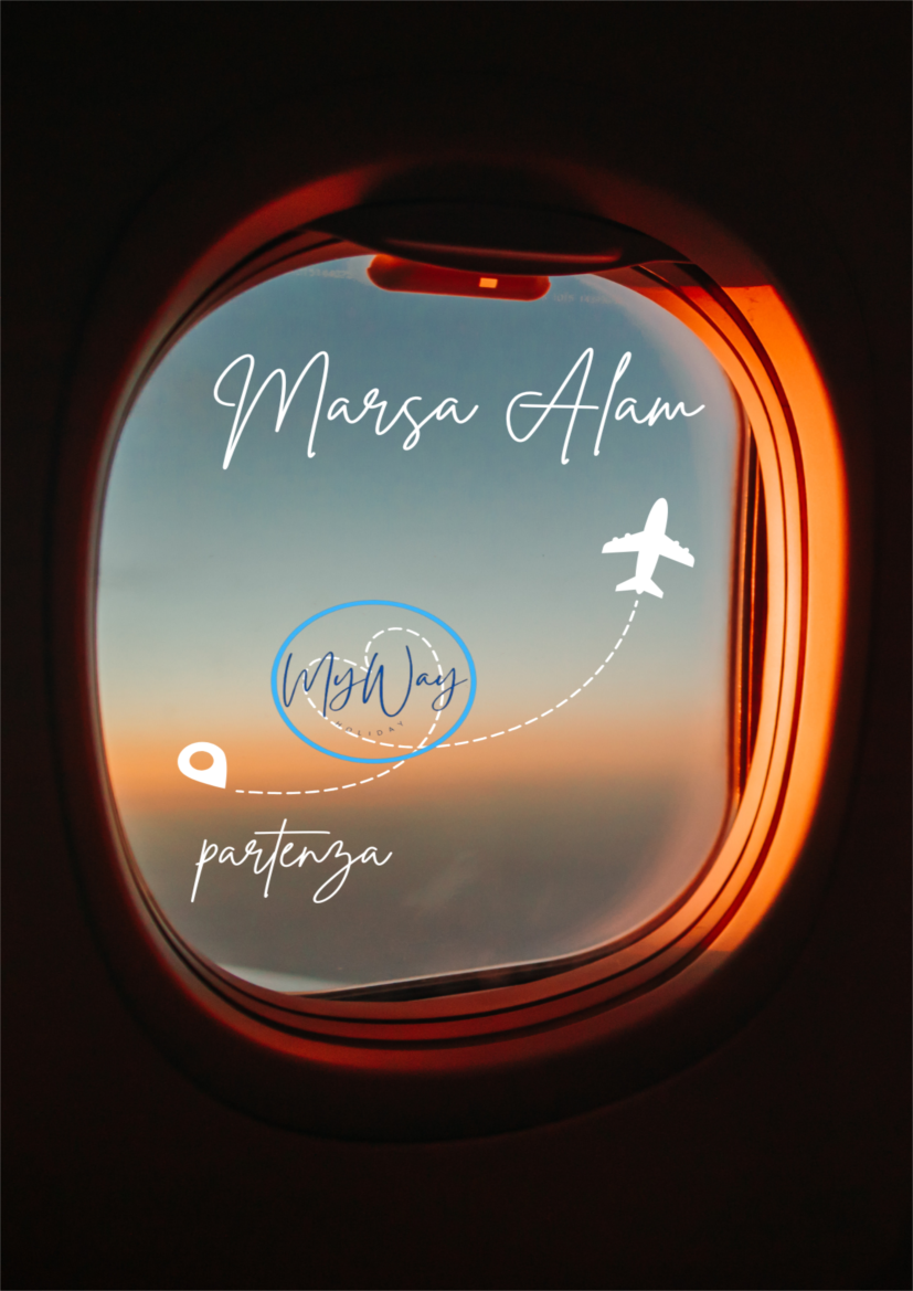 Sfoglia il catalogo.